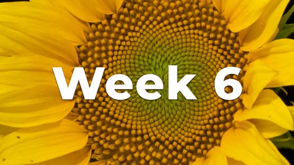Core-Confidence-Course-Week-6