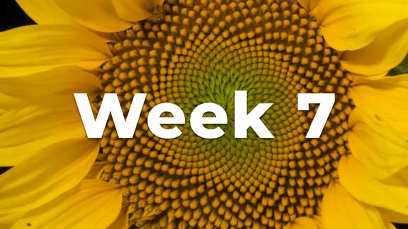 Core-Confidence-Course-Week-7